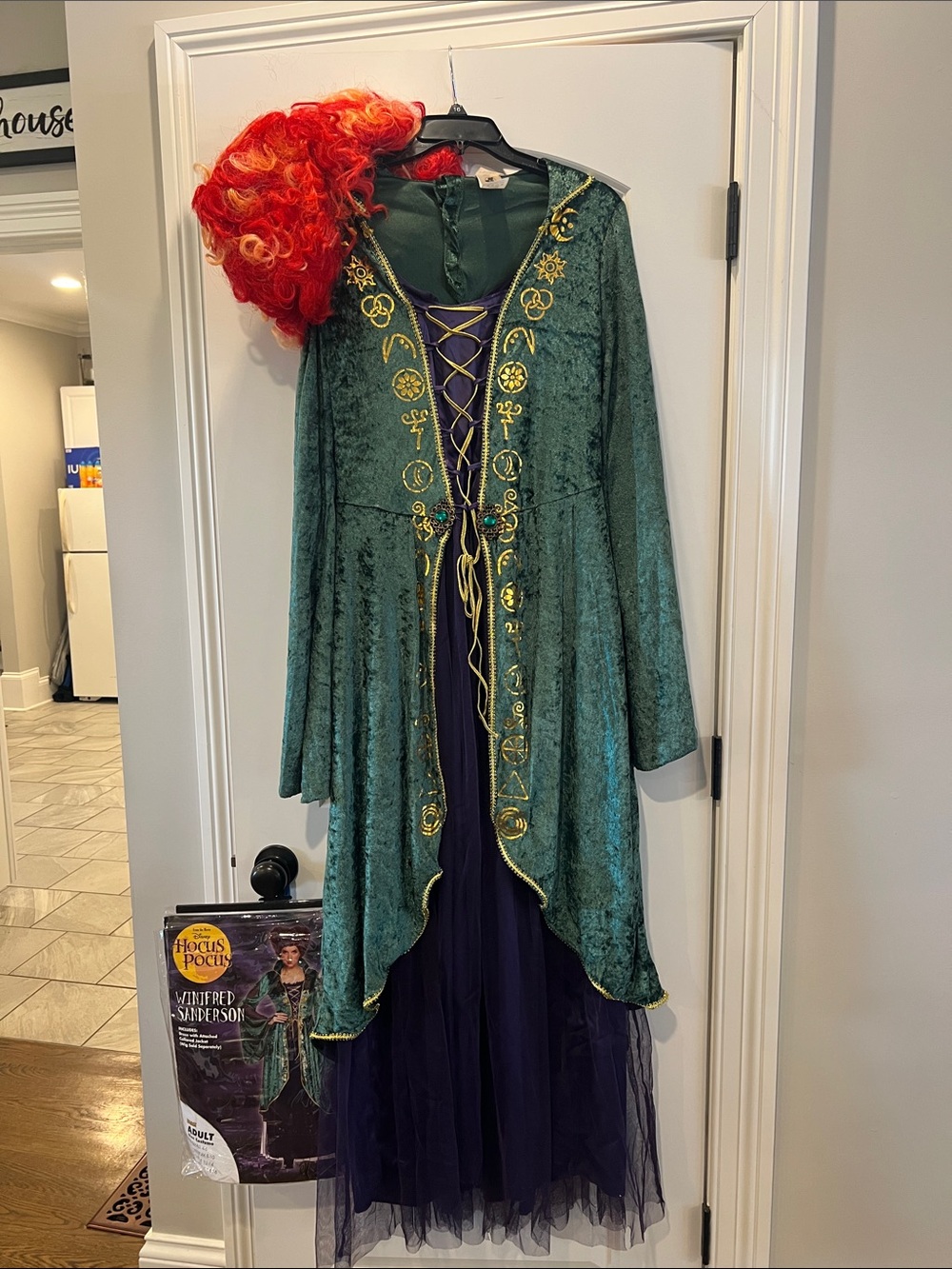 Disney Winifred Sanderson Hocus Pocus Costume Green Velvet Dress With Wig